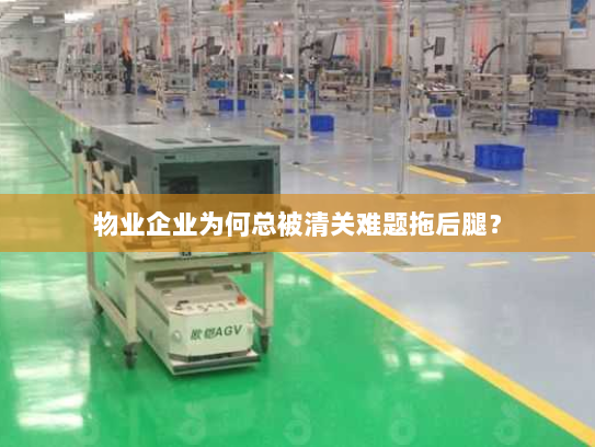 物业企业为何总被清关难题拖后腿？