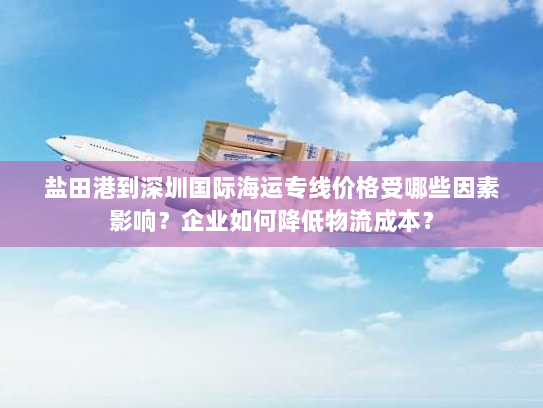 盐田港到深圳国际海运专线价格受哪些因素影响？企业如何降低物流成本？
