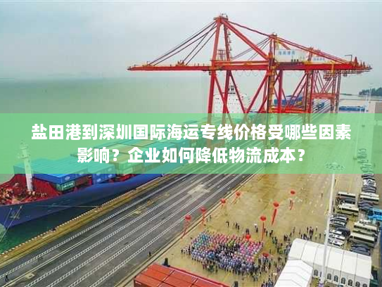 盐田港到深圳国际海运专线价格受哪些因素影响？企业如何降低物流成本？