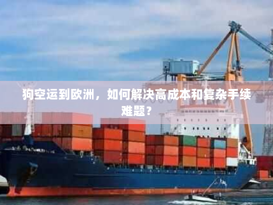 狗空运到欧洲,如何解决高成本和复杂手续难题? 狗空运到欧洲,如何解决高成本和复杂手续难题?