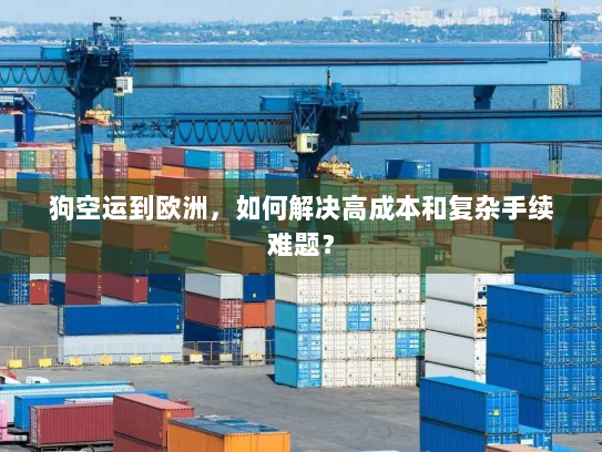 狗空运到欧洲,如何解决高成本和复杂手续难题? 狗空运到欧洲,如何解决高成本和复杂手续难题?