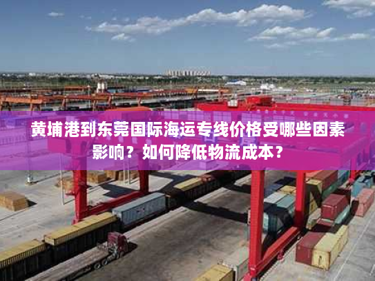 黄埔港到东莞国际海运专线价格受哪些因素影响？如何降低物流成本？