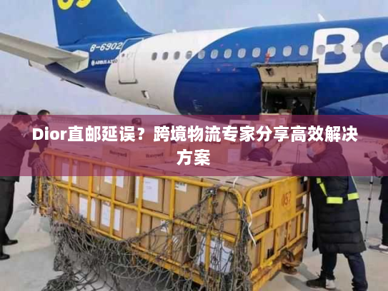 Dior直邮延误?跨境物流专家分享高效解决方案 Dior直邮延误?跨境物流专家分享高效解决方案