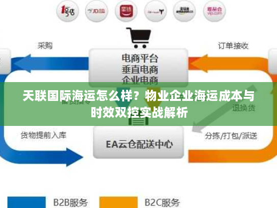 天联国际海运怎么样？物业企业海运成本与时效双控实战解析
