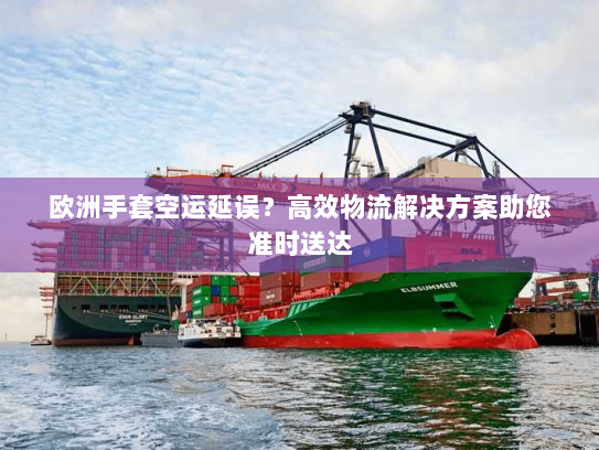 欧洲手套空运延误？高效物流解决方案助您准时送达