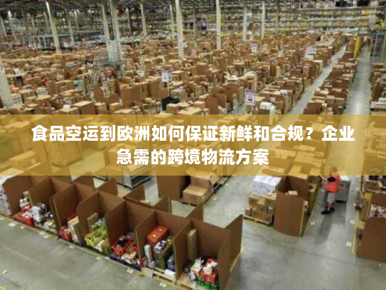 食品空运到欧洲如何保证新鲜和合规？企业急需的跨境物流方案