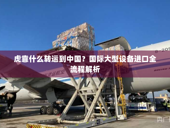 虎靠什么转运到中国?国际大型设备进口全流程解析 虎靠什么转运到中国?国际大型设备进口全流程解析