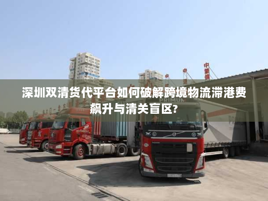 深圳双清货代平台如何破解跨境物流滞港费飙升与清关盲区?