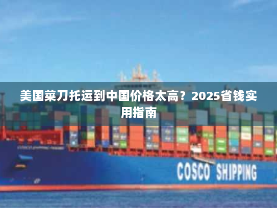 美国菜刀托运到中国价格太高？2025省钱实用指南