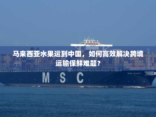 马来西亚水果运到中国，如何高效解决跨境运输保鲜难题？