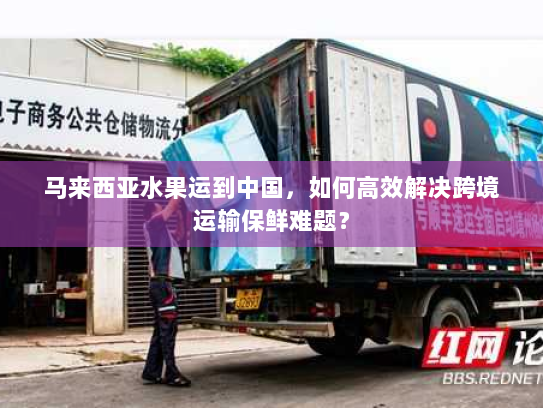 马来西亚水果运到中国，如何高效解决跨境运输保鲜难题？