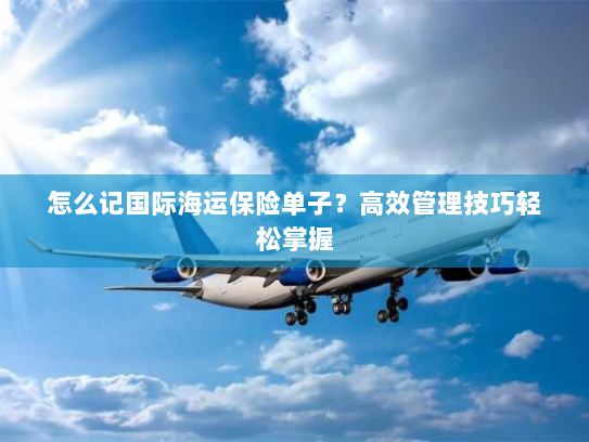 怎么记国际海运保险单子？高效管理技巧轻松掌握