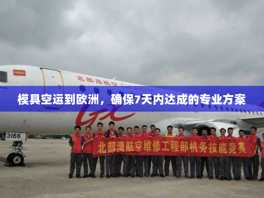 模具空运到欧洲，确保7天内达成的专业方案