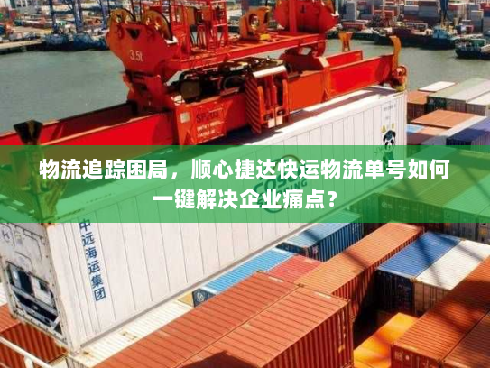 物流追踪困局，顺心捷达快运物流单号如何一键解决企业痛点？