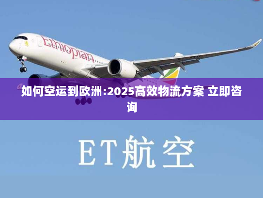如何空运到欧洲:2025高效物流方案 立即咨询