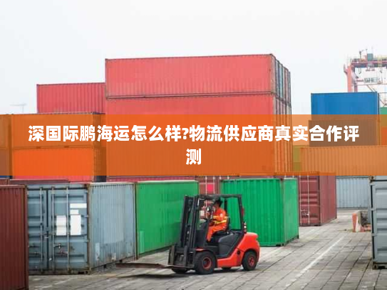 深国际鹏海运怎么样?物流供应商真实合作评测