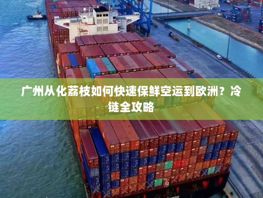 广州从化荔枝如何快速保鲜空运到欧洲?冷链全攻略 广州从化荔枝如何快速保鲜空运到欧洲?冷链全攻略