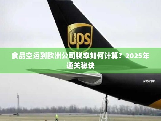 食品空运到欧洲公司税率如何计算？2025年通关秘诀