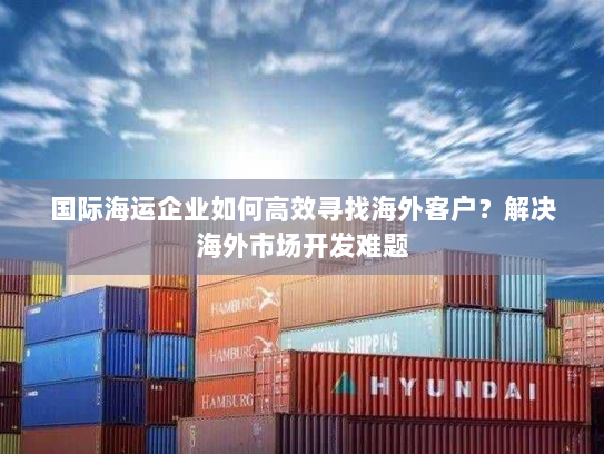 国际海运企业如何高效寻找海外客户？解决海外市场开发难题