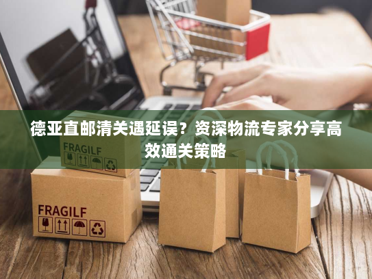 德亚直邮清关遇延误？资深物流专家分享高效通关策略