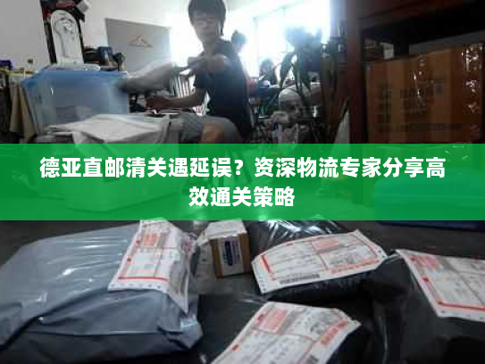 德亚直邮清关遇延误？资深物流专家分享高效通关策略