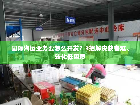 国际海运业务要怎么开发？3招解决获客难、转化低困境