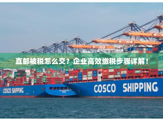 直邮被税怎么交？企业高效缴税步骤详解！