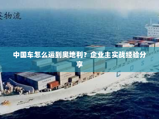 中国车怎么运到奥地利？企业主实战经验分享