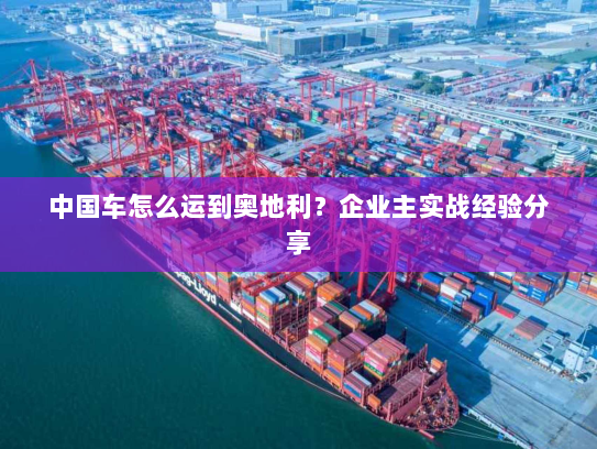 中国车怎么运到奥地利？企业主实战经验分享