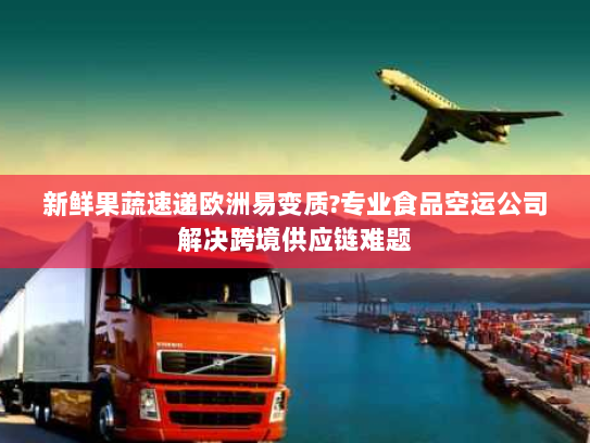 新鲜果蔬速递欧洲易变质?专业食品空运公司解决跨境供应链难题