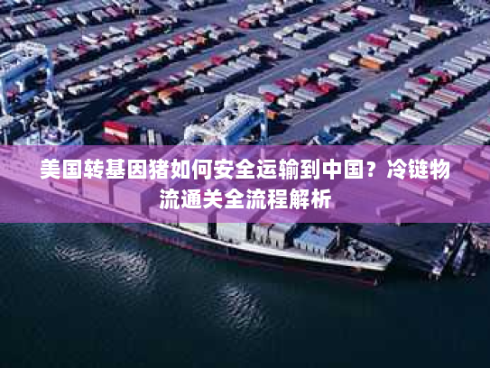 美国转基因猪如何安全运输到中国？冷链物流通关全流程解析