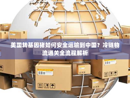 美国转基因猪如何安全运输到中国？冷链物流通关全流程解析