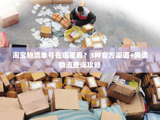 淘宝物流单号在哪里看？3种官方渠道+跨境物流查询攻略