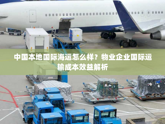 中国本地国际海运怎么样？物业企业国际运输成本效益解析