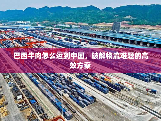 巴西牛肉怎么运到中国，破解物流难题的高效方案