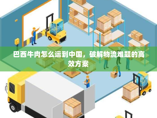 巴西牛肉怎么运到中国，破解物流难题的高效方案
