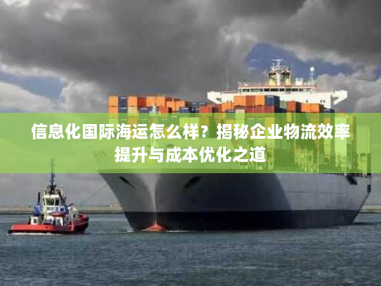 信息化国际海运怎么样？揭秘企业物流效率提升与成本优化之道