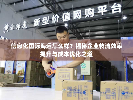 信息化国际海运怎么样？揭秘企业物流效率提升与成本优化之道
