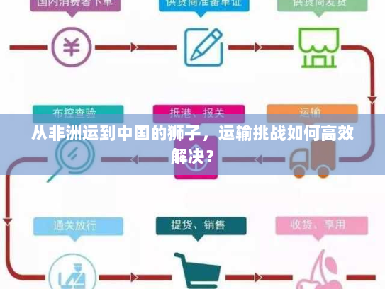 从非洲运到中国的狮子,运输挑战如何高效解决? 从非洲运到中国的狮子,运输挑战如何高效解决?