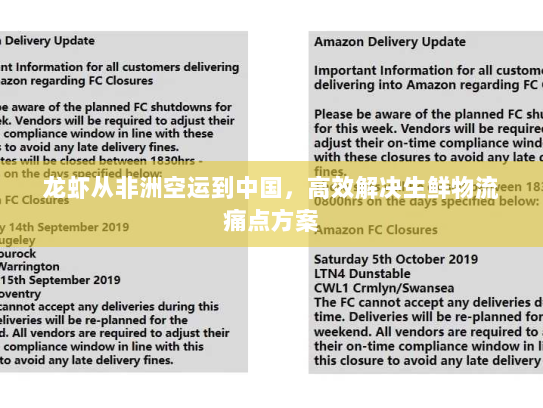 龙虾从非洲空运到中国,高效解决生鲜物流痛点方案 龙虾从非洲空运到中国,高效解决生鲜物流痛点方案