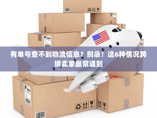 有单号查不到物流信息?别急!这6种情况跨境卖家最常遇到 有单号查不到物流信息?别急!这6种情况跨境卖家最常遇到