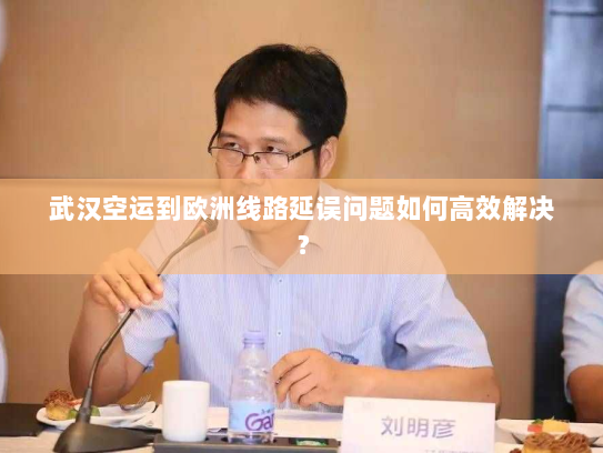 武汉空运到欧洲线路延误问题如何高效解决？