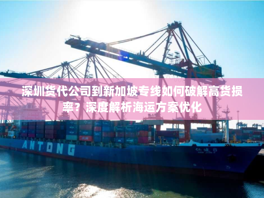 深圳货代公司到新加坡专线如何破解高货损率？深度解析海运方案优化