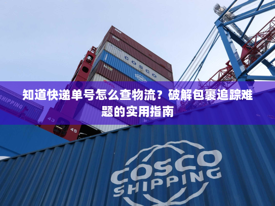 知道快递单号怎么查物流?破解包裹追踪难题的实用指南 知道快递单号怎么查物流?破解包裹追踪难题的实用指南