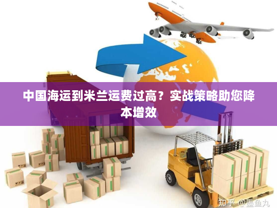中国海运到米兰运费过高？实战策略助您降本增效