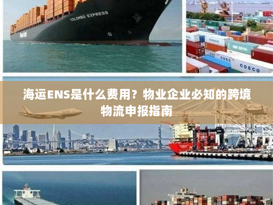 海运ENS是什么费用?物业企业必知的跨境物流申报指南 海运ENS是什么费用?物业企业必知的跨境物流申报指南