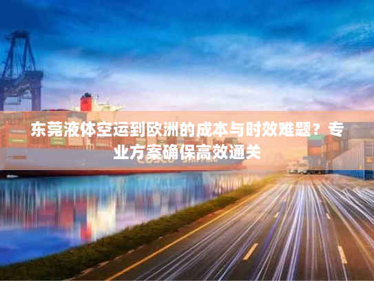 东莞液体空运到欧洲的成本与时效难题？专业方案确保高效通关