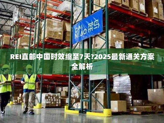 REI直邮中国时效缩至7天?2025最新通关方案全解析