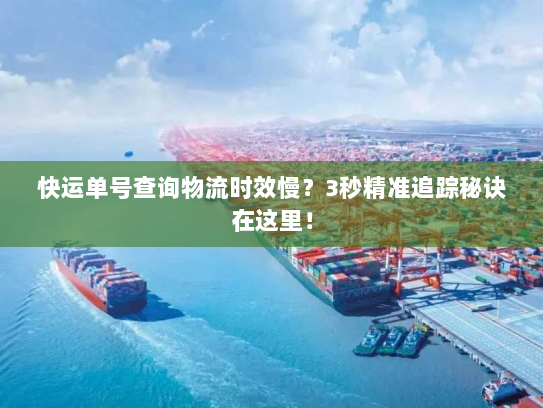 快运单号查询物流时效慢？3秒精准追踪秘诀在这里！