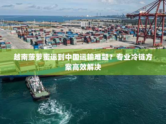 越南菠萝蜜运到中国运输难题？专业冷链方案高效解决